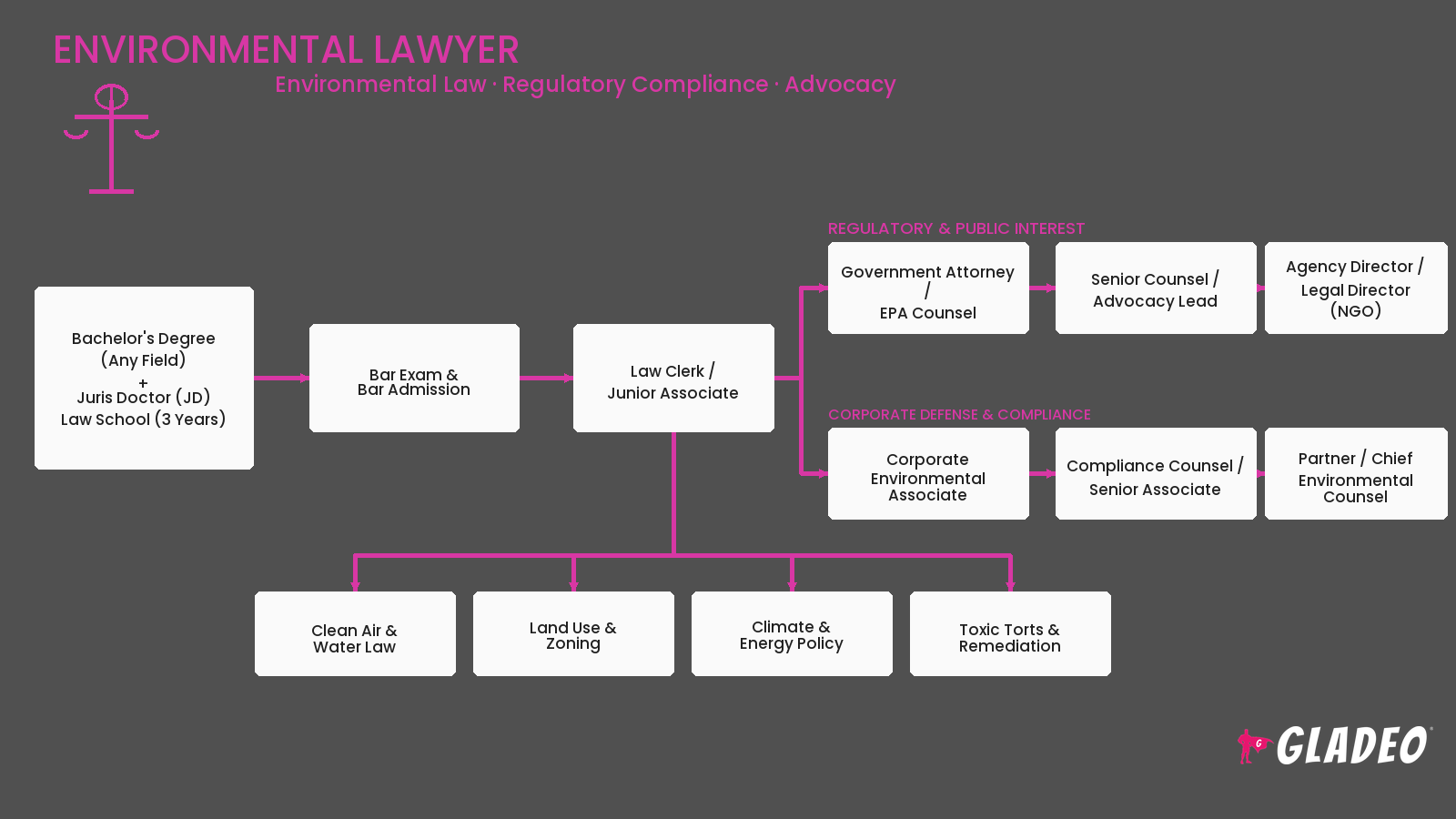 Environmental Lawyer